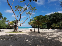 Fotografie cu Plaja Frenchman's Cove și așezarea