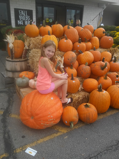 Grocery Store «The Andersons Store», reviews and photos, 530 Illinois Ave, Maumee, OH 43537, USA