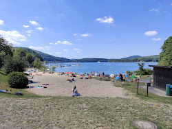 Badestelle Waldenburger Bucht'in fotoğrafı geniş bir kıyı şeridi ile birlikte