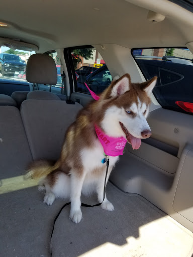 Pet Supply Store «PetSmart», reviews and photos, 3042 W Ridge Rd, Greece, NY 14626, USA