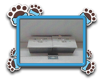 Pet Store «AA Ridgewood Kennels II», reviews and photos, 5401 Lincoln Hwy, Gap, PA 17527, USA