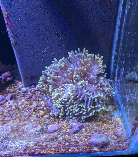 Pet Store «Woofs & Waves», reviews and photos, 5426 Arrowhead Pkwy E, Sioux Falls, SD 57110, USA