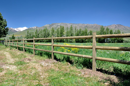 Singleton Fence
