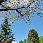 Photo n°10 de l'avis de Paula.e fait le 25/04/2023 à 20:31 sur le  Ristorante La Fioraia à Castello di Annone