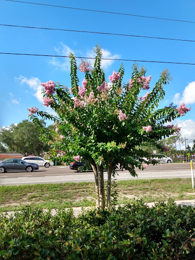 Fast Food Restaurant «Chick-fil-A», reviews and photos, 5302 E Fowler Ave, Temple Terrace, FL 33617, USA