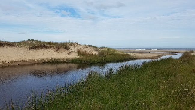 Opiniones de Playa Sirena en Rocha - Centro naturista