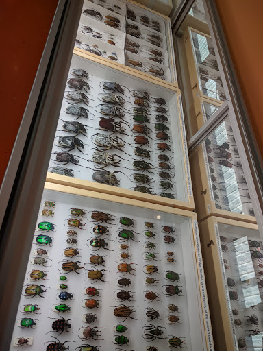 Museum «Insectropolis», reviews and photos, 1761 U.S. 9, Toms River, NJ 08755, USA