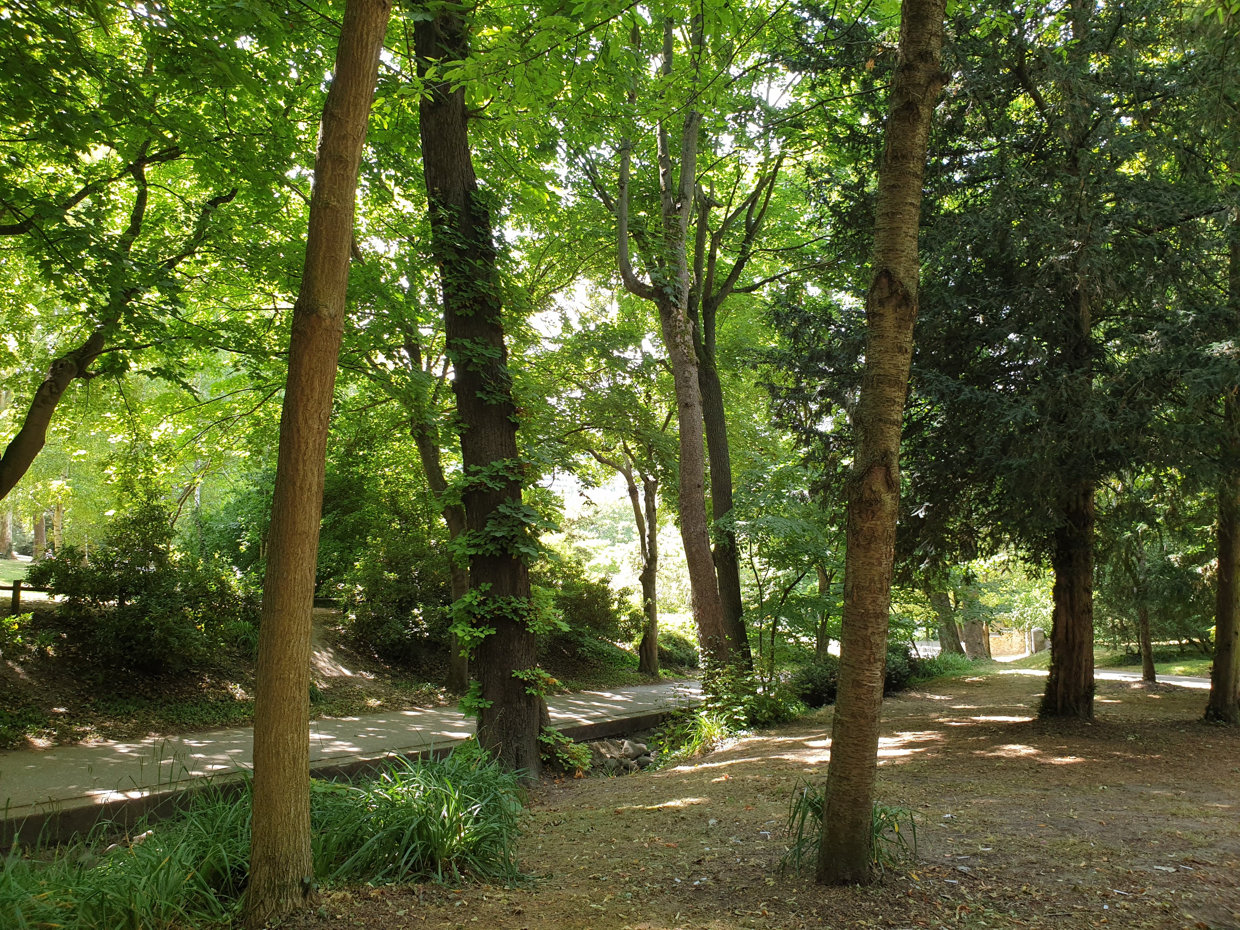 Photo n° 1 de l'avis de D..a fait le 10/07/2019 à 08:20