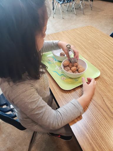 Day Care Center «Triumphant Learning Center», reviews and photos, 420 Carroll St, Sunnyvale, CA 94086, USA