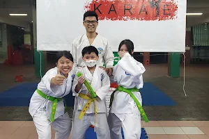 PHÙNG HƯNG Karate - Lớp võ chất lượng Quận 11 image