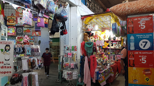 Mercado San José Altamira