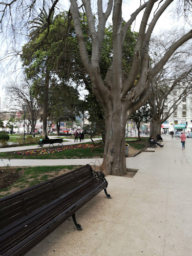 Plaza Eduardo Grove - Viña del Mar
