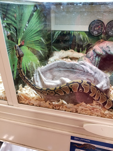 Pet Supply Store «PetSmart», reviews and photos, 1986 Mt Zion Rd, Morrow, GA 30260, USA