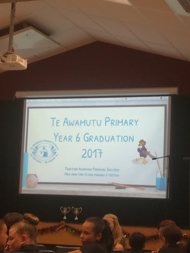 Te Awamutu Primary School - Te Awamutu