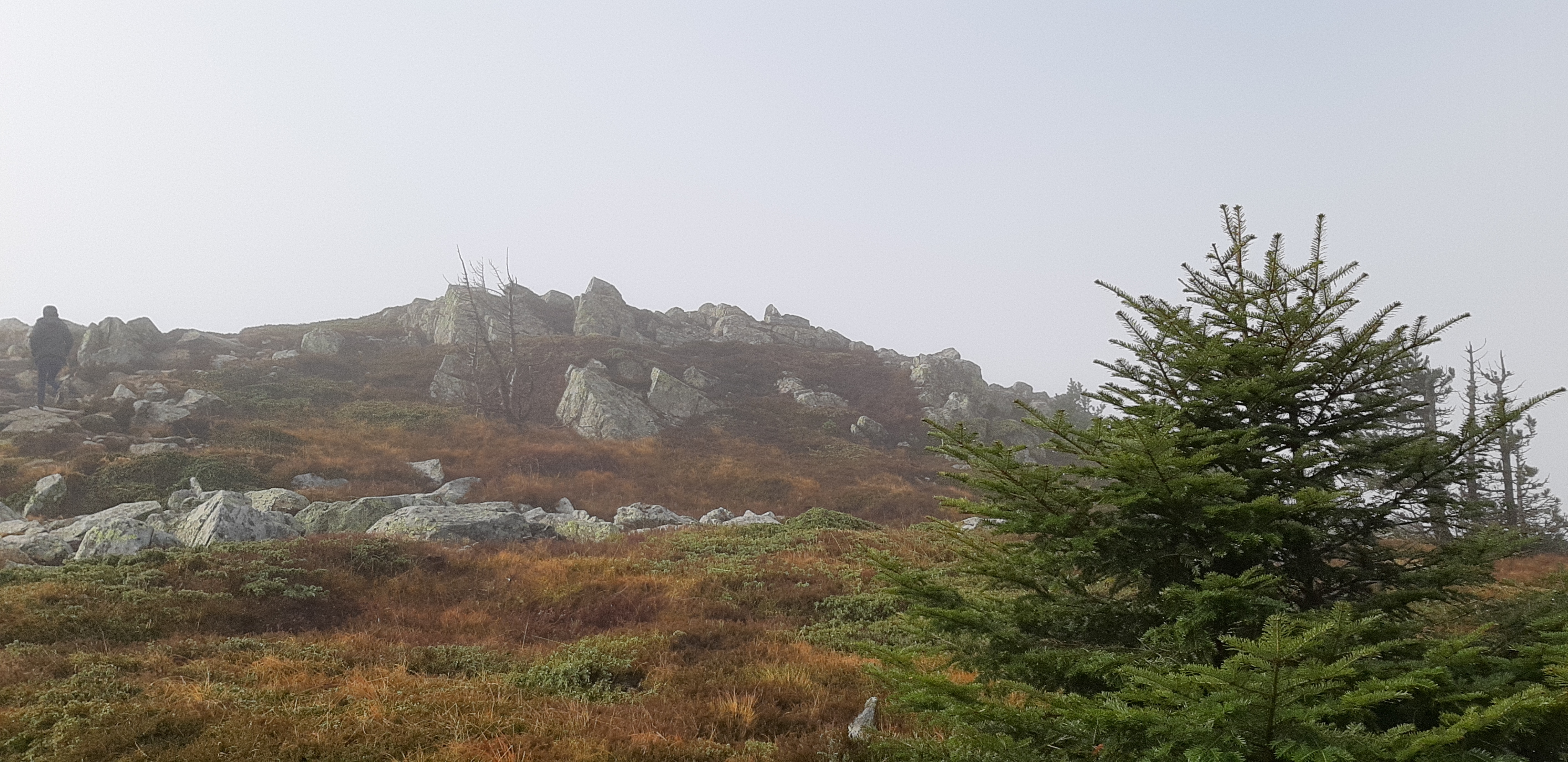 Photo n° 2 de l'avis de sebastien.g fait le 24/10/2020 à 15:14