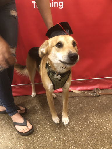 Pet Supply Store «PetSmart», reviews and photos, 3096 N Eastman Rd, Longview, TX 75605, USA