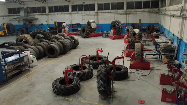 Avaliações doJARP - Jorge Areias Reparação de Pneus em Alcobaça - Comércio de pneu