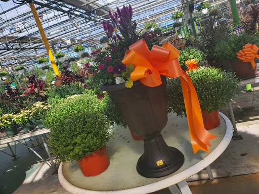 Florist «Dutch & Olgas Greenhouse», reviews and photos, 1285 NJ-36, Hazlet, NJ 07730, USA