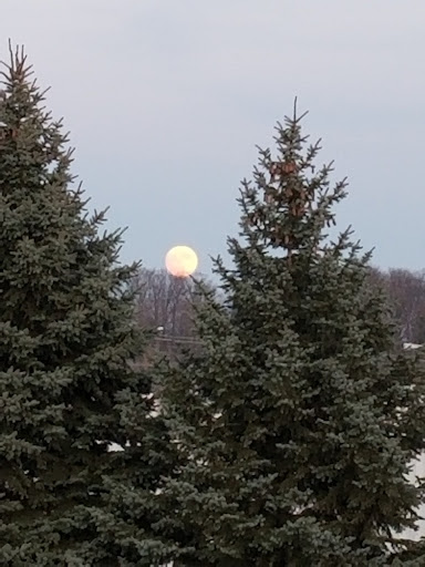 Movie Theater «AMC Cherry Blossom 14», reviews and photos, 3825 Marketplace Cir, Traverse City, MI 49684, USA