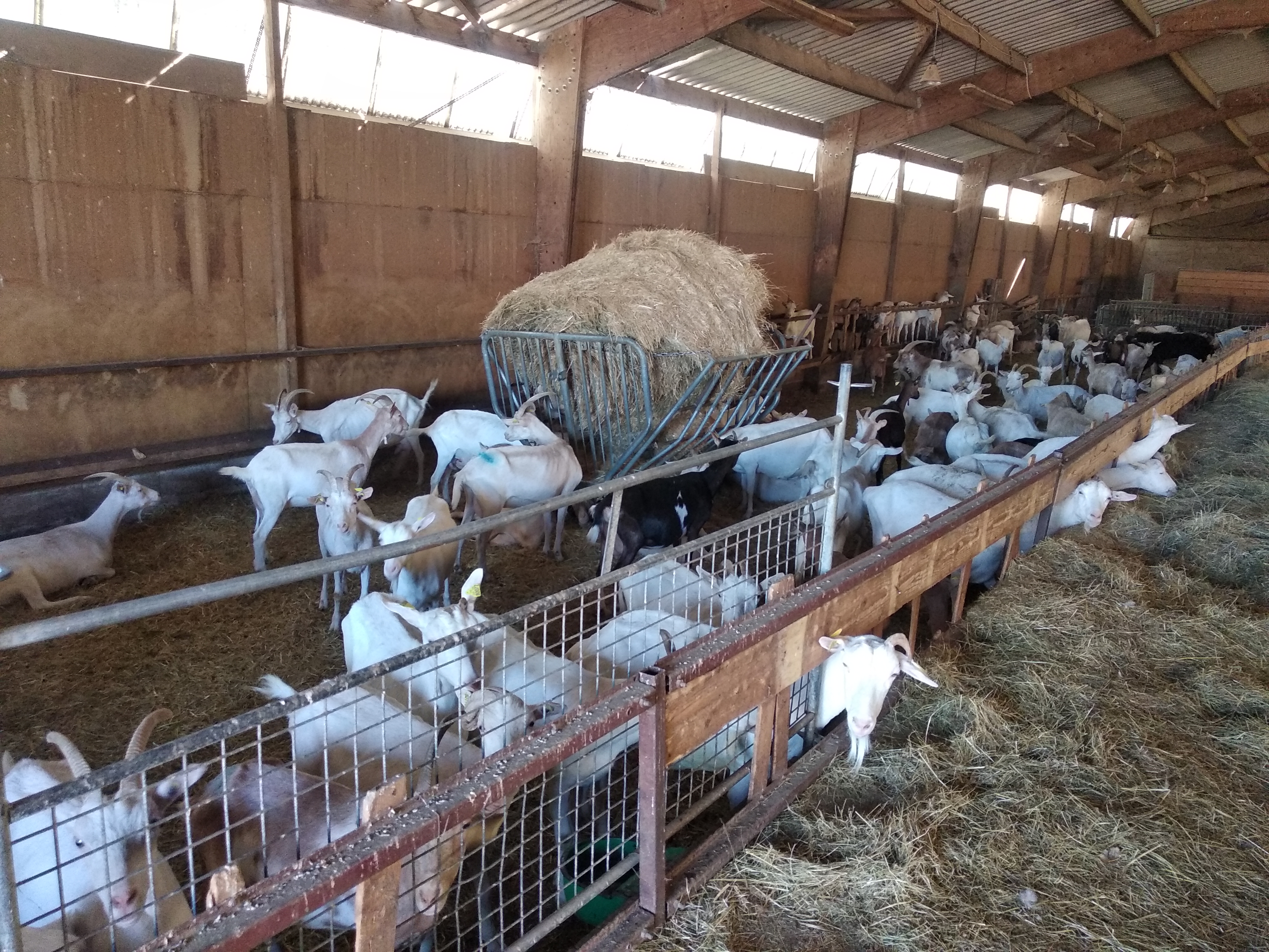 Photo n° 5 de l'avis de gerard.a fait le 07/09/2020 à 15:59