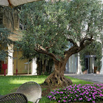 Photo n°5 de l'avis de Ingrid. fait le 09/08/2017 à 09:01 sur le  Paul VI Center à Brescia