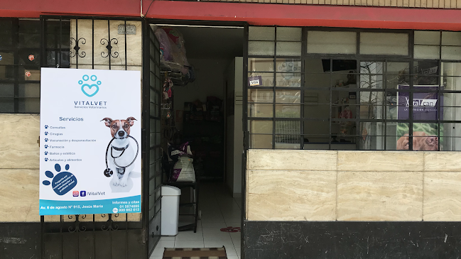 Opiniones de VitalVet Servicios Veterinarios en Lima - Veterinario