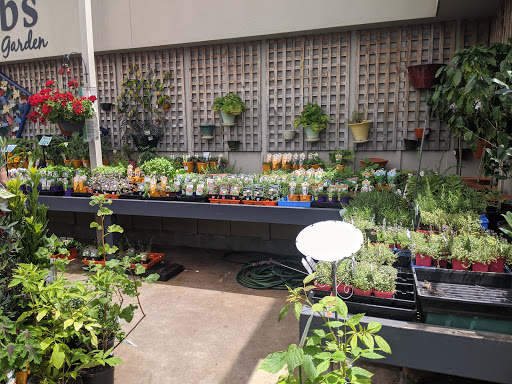 Plant shops in Melbourne
