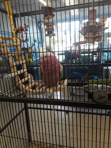 Pet Store «Fins Feathers Paws & Claws», reviews and photos, 436 Main St, Harleysville, PA 19438, USA
