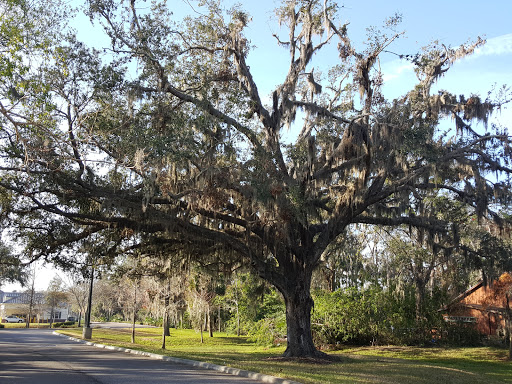 Auto Repair Shop «Repair 1», reviews and photos, 501 Old Dunlawton Ave, Port Orange, FL 32129, USA