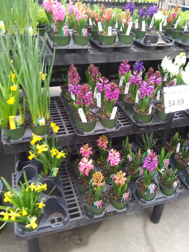 Animal Feed Store «Wilco Farm Store», reviews and photos, 2950 S Santiam Hwy, Lebanon, OR 97355, USA