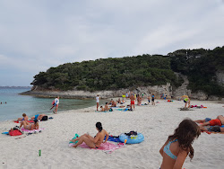 Photo de Plage de Petit Sperone avec plusieurs petites baies