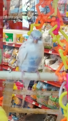 Pet Supply Store «Petco Animal Supplies», reviews and photos, 4012 W 27th Ave, Kennewick, WA 99337, USA