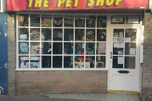 The Pet Shop image