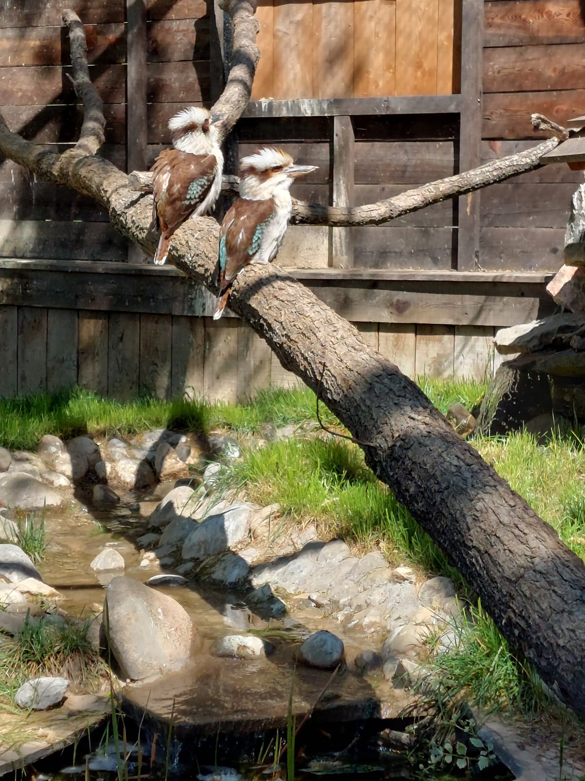 Photo n° 6 de l'avis de Anthony.a fait le 26/04/2022 à 14:57