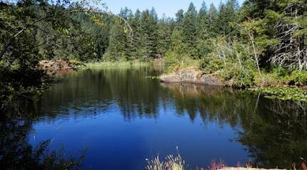 Mary Lake Nature Sanctuary