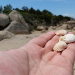 Photo n°7 de l'avis de Pascal.. fait le 24/04/2018 à 18:45 sur le  Hotel CalaCuncheddi à Olbia