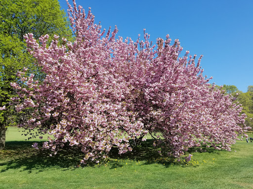 State Park «Bethpage State Park», reviews and photos, 99 Quaker Meeting House Rd, Farmingdale, NY 11735, USA