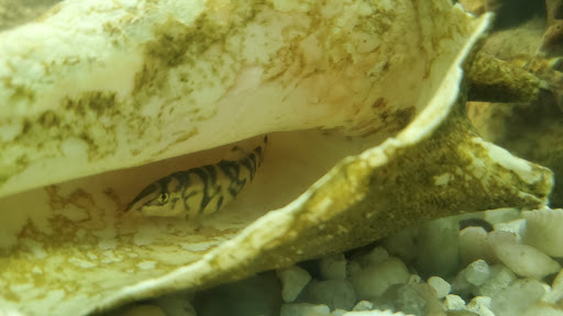 Pet Store «Pet Zone», reviews and photos, 1620 Marion-Mt Gilead Rd, Marion, OH 43302, USA