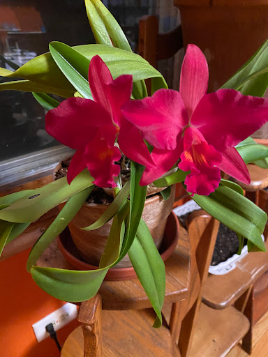 Health Insurance Agency «Boomer Benefits», reviews and photos