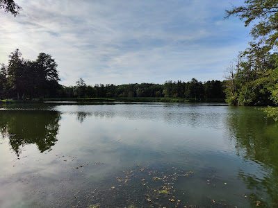 Ecluse n.52 de Pierre-la-Treiche à Pierre-la-Treiche