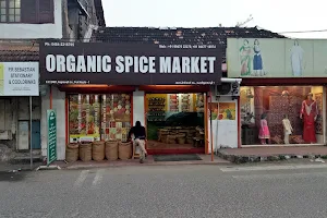 Organic Spice Market image