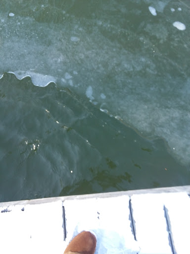 Boat Dealer «Lake Country Marine», reviews and photos, 13721 Anna Point Ln, Mineral, VA 23117, USA