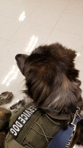 Pet Supply Store «Petco Animal Supplies», reviews and photos, 45205 Worth Ave, California, MD 20619, USA