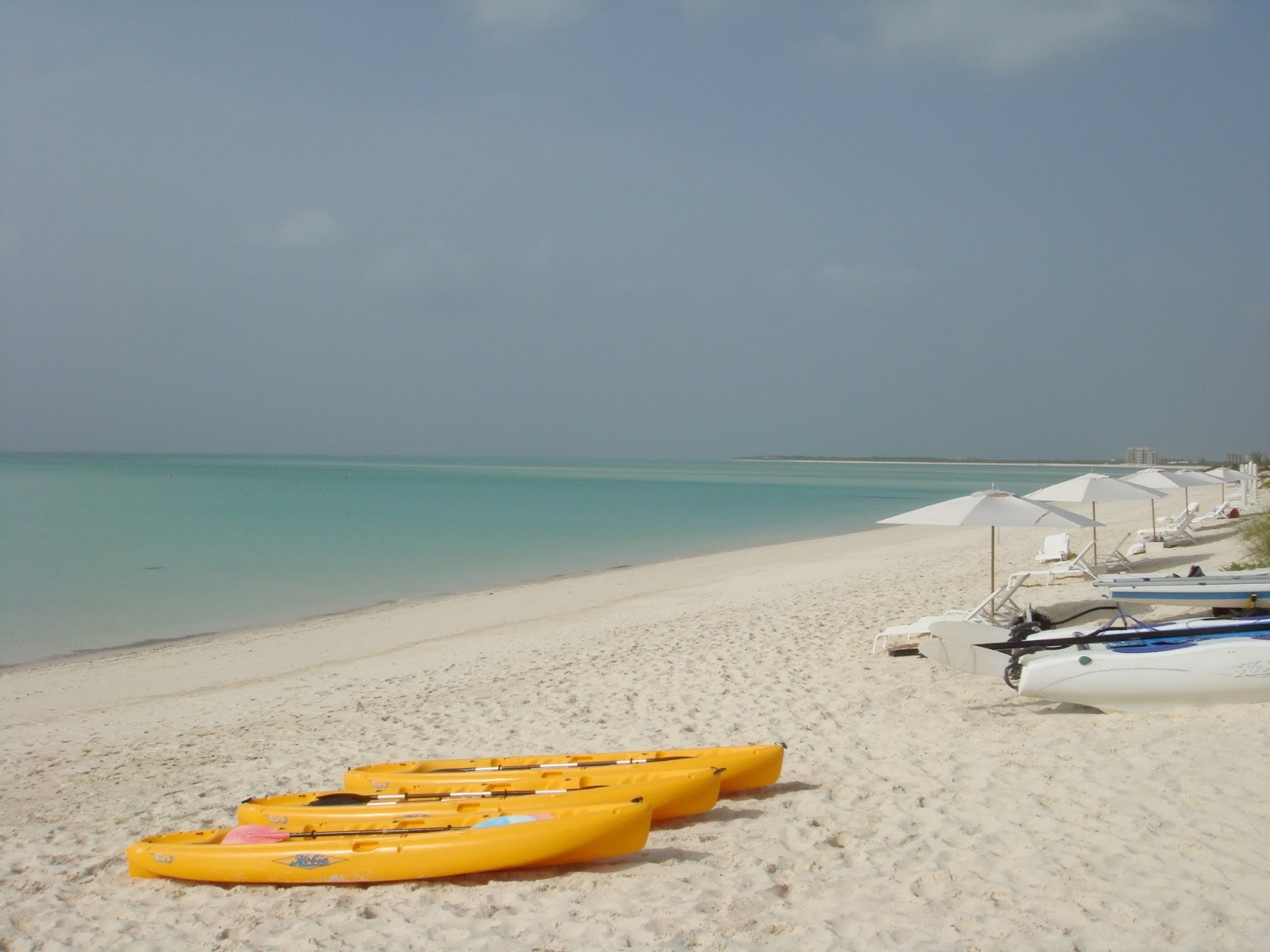 Parrot Cay Plajı'in fotoğrafı geniş plaj ile birlikte