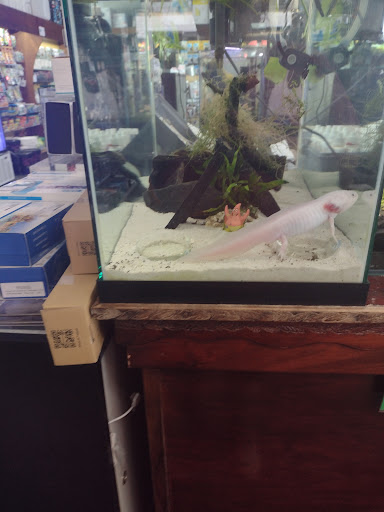 Tropical Fish Store «Optimum Aquarium», reviews and photos, 840 Ernest W Barrett Pkwy NW #700, Kennesaw, GA 30144, USA