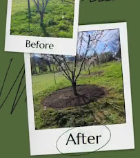 Reyes Property Maintenance LLC - Photo 7 - Car repair in , Medford