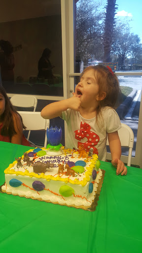 Indoor Playground «We Rock the Spectrum - Tampa», reviews and photos, 1076 E Brandon Blvd #102, Brandon, FL 33511, USA