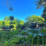 Photo n° 1 de l'avis de Althéa.E fait le 09/05/2024 à 14:58 pour SARL BAEZA PAYSAGISTE ET PEPINIERE à Saint-André-de-Sangonis