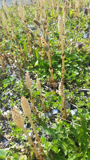 Winery «Tarara Winery», reviews and photos, 13648 Tarara Ln, Leesburg, VA 20176, USA