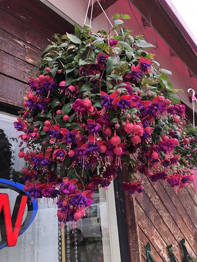 Florist «Dynamic Flowers of Royal Oak», reviews and photos, 3221 N Main St, Royal Oak, MI 48073, USA